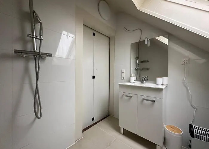 Malin 莱茵河畔路德维希港