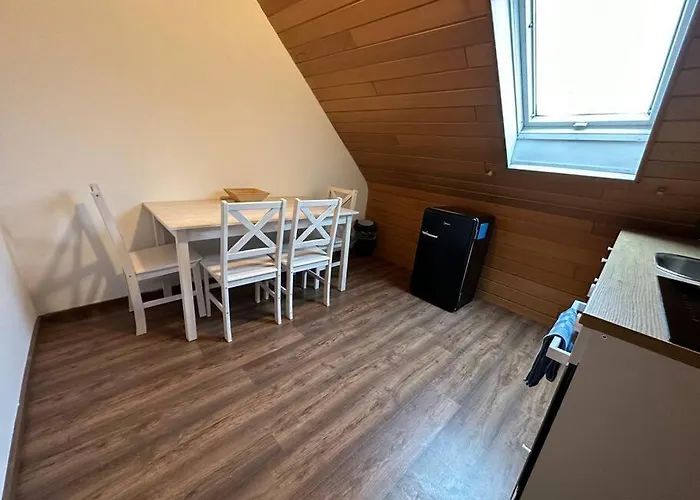 Malin * 莱茵河畔路德维希港